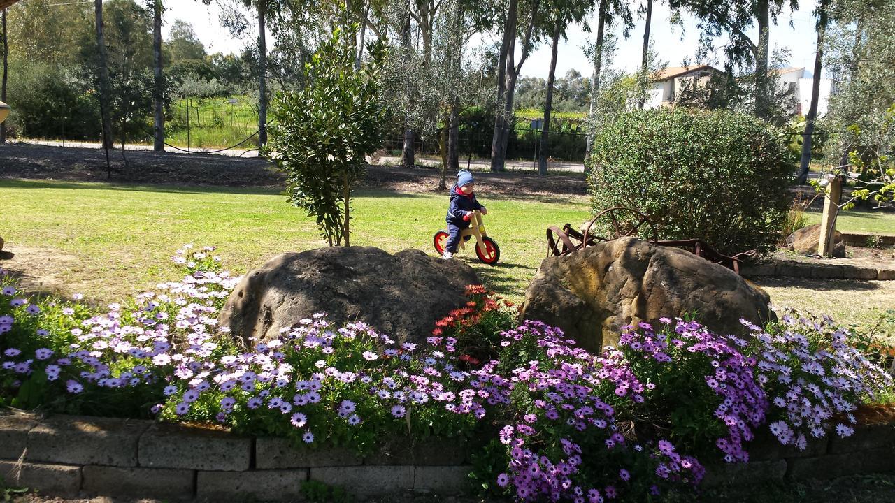 Agriturismo Monte Majore Siliqua Dış mekan fotoğraf